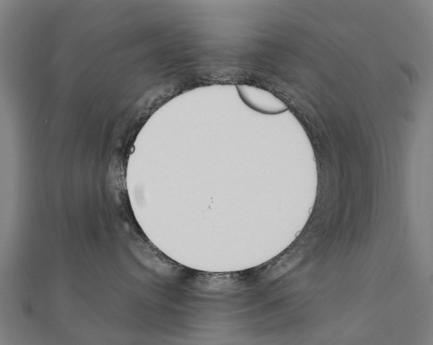 X0000111210384200908121138