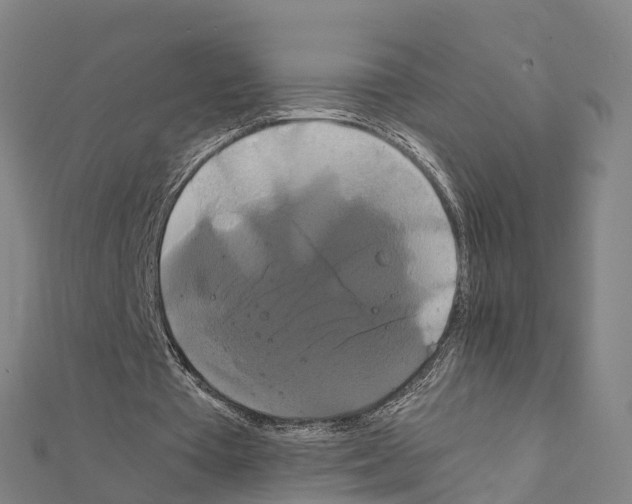 X0000111210385200908121137