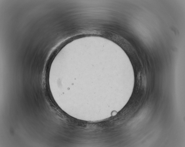 X0000111210388200908121137