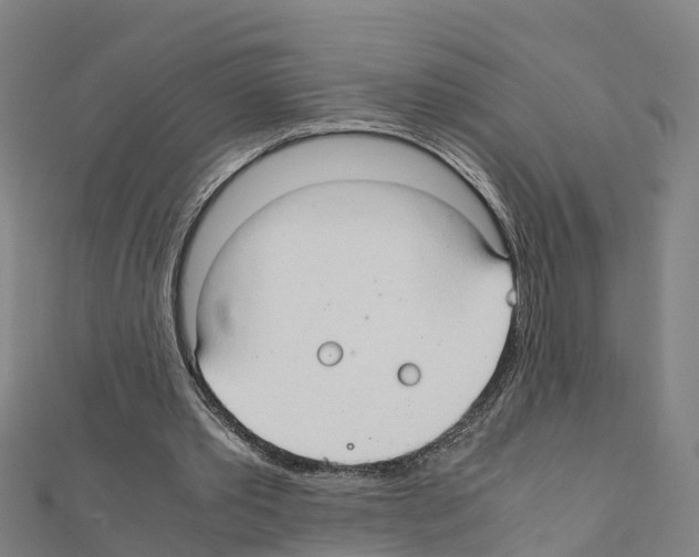 X0000111210389200908121137