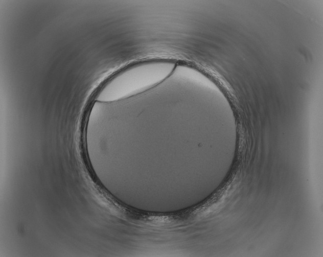 X0000111210391200908121137