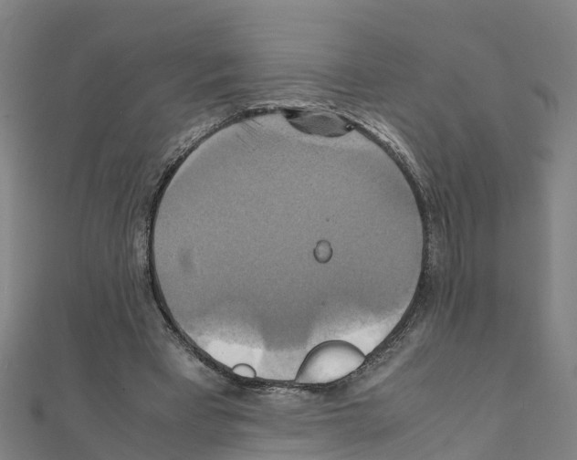 X0000111210393200908121137