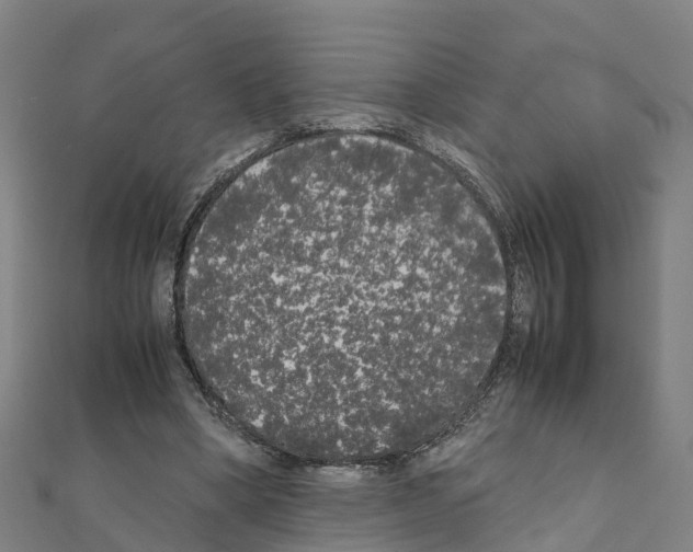 X0000111210394200908121137