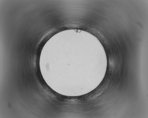 X0000111210396200908121137