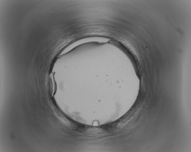 X0000111210397200908121137