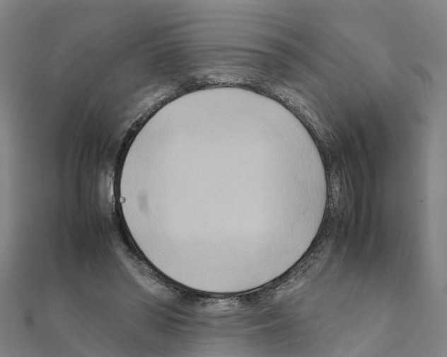 X0000111210398200908121137