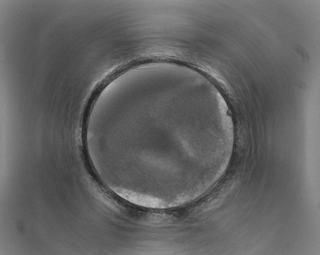 X0000111210399200908121137