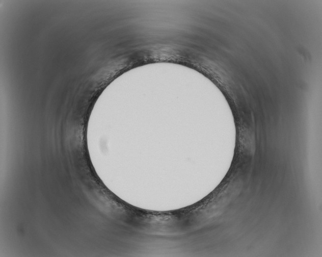 X0000111210401200908121137