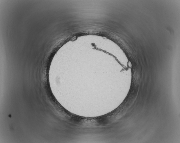 X0000111210403200908121137