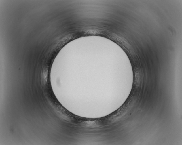 X0000111210406200908121137