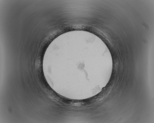 X0000111210407200908121137