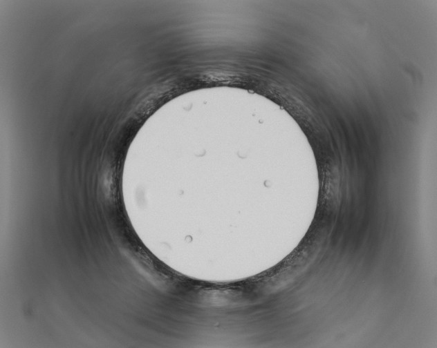 X0000111210408200908121137