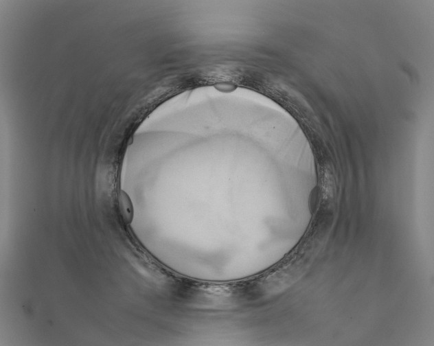 X0000111210409200908121137