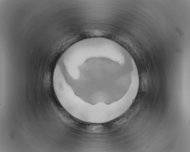 X0000111210410200908121137