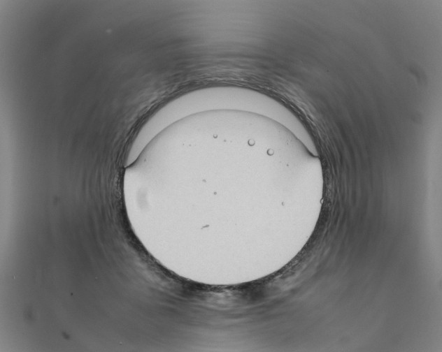 X0000111210411200908121137