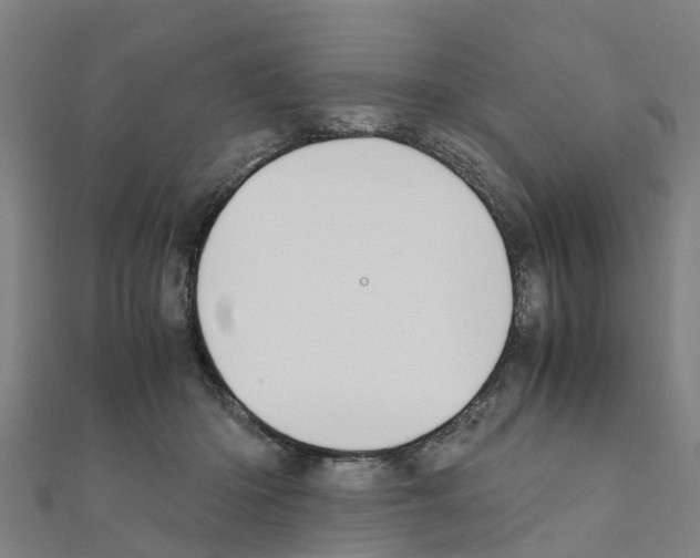 X0000111210414200908121137