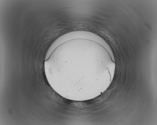 X0000111210417200908121137