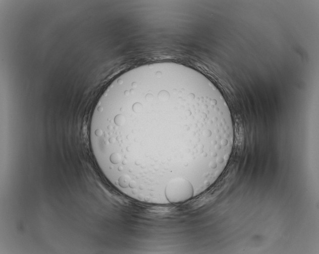 X0000111210418200908121137