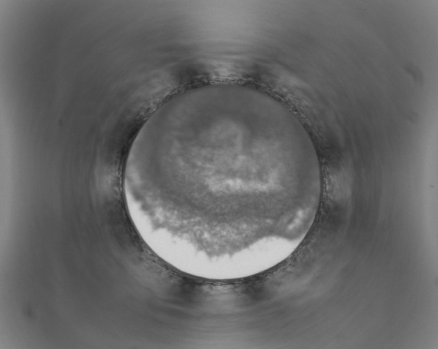 X0000111210419200908121137