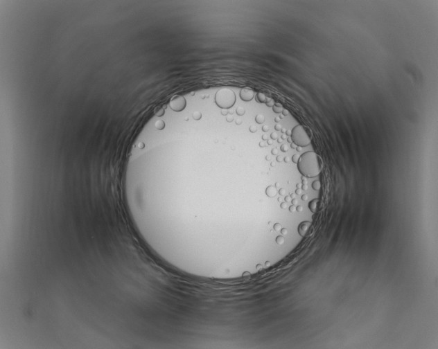 X0000111210420200908121136