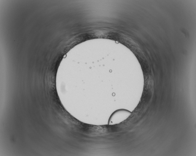 X0000111210421200908121136