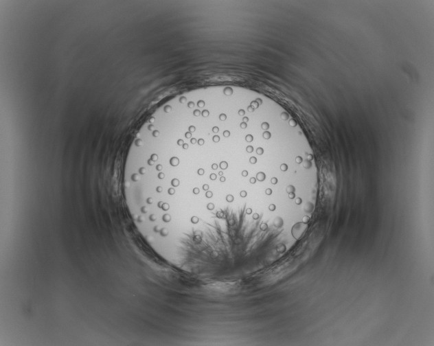 X0000111210422200908121136