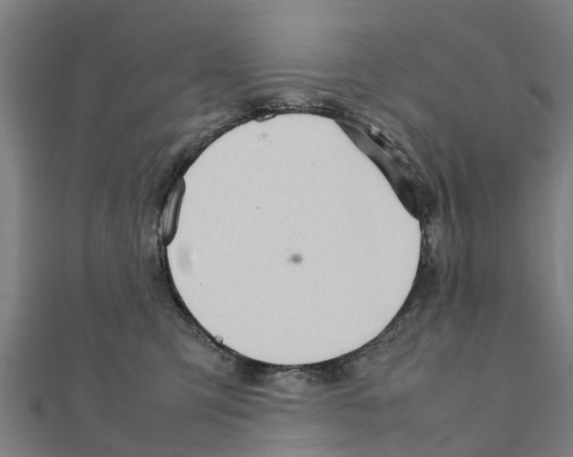 X0000111210423200908121136