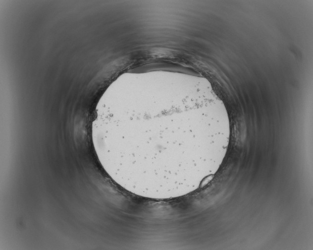 X0000111210424200908121136