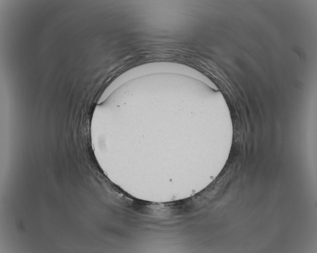 X0000111210425200908121136