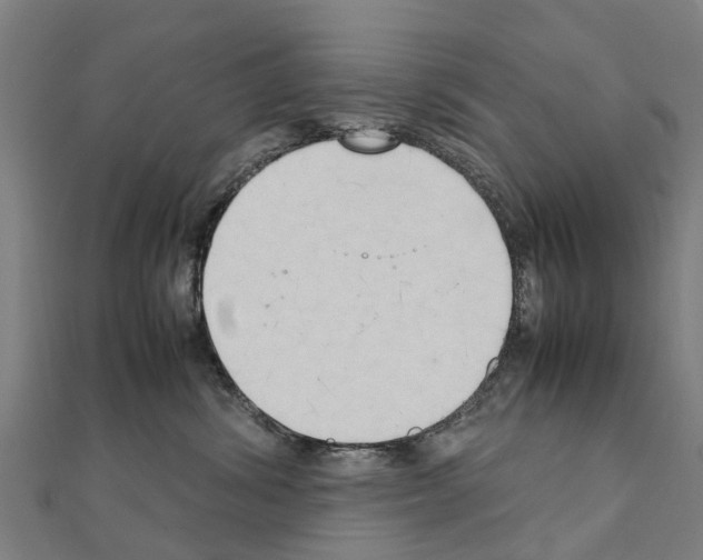 X0000111210428200908121136