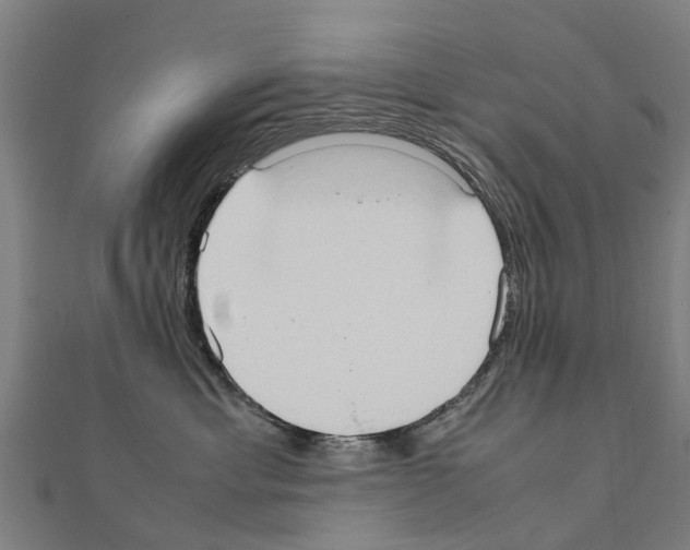 X0000111210429200908121136