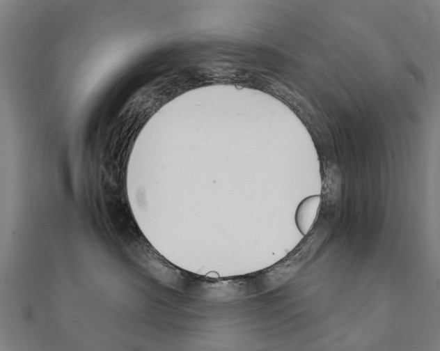 X0000111210430200908121136