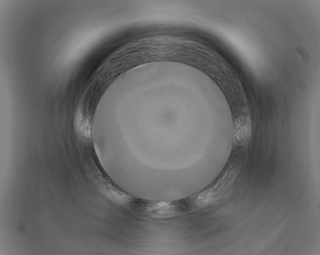 X0000111210431200908121136