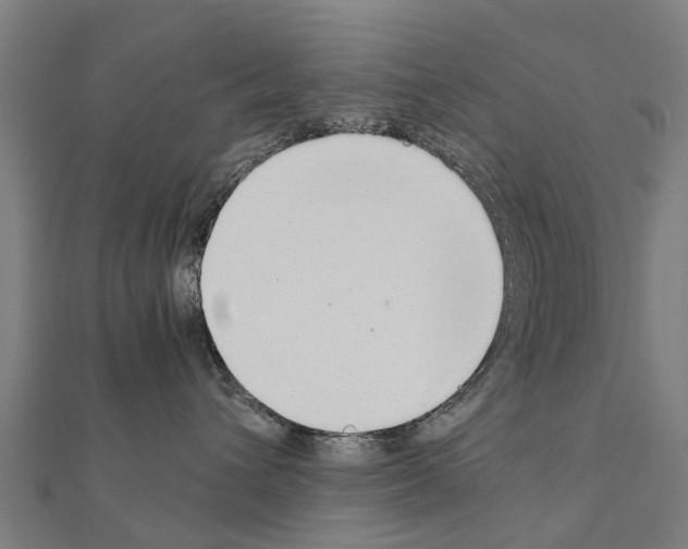 X0000111210432200908121136