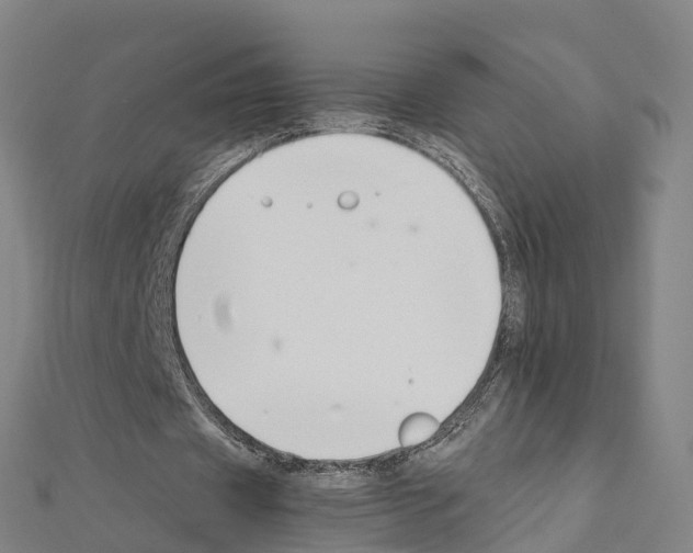 X0000111210433200908121135