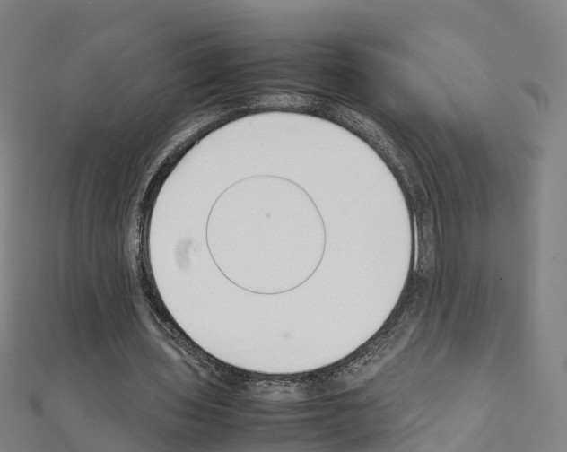 X0000111210435200908121135