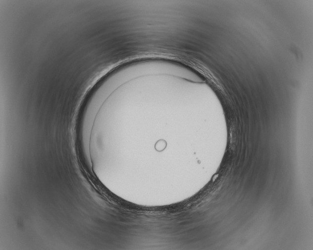 X0000111210436200908121135