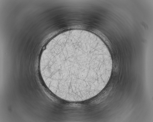 X0000111210437200908121135