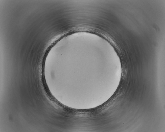 X0000111210438200908121135