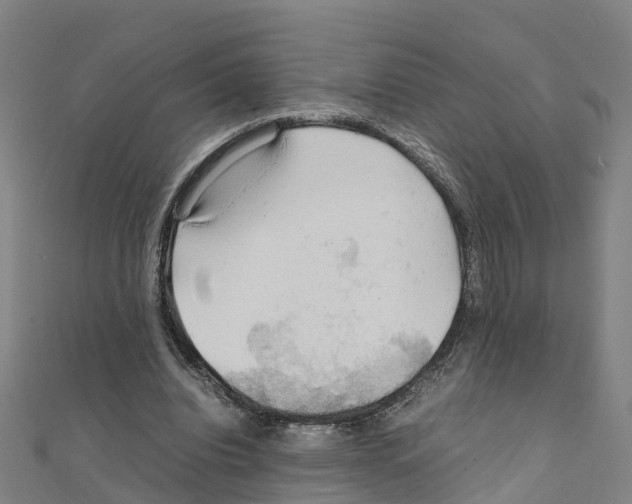 X0000111210440200908121135