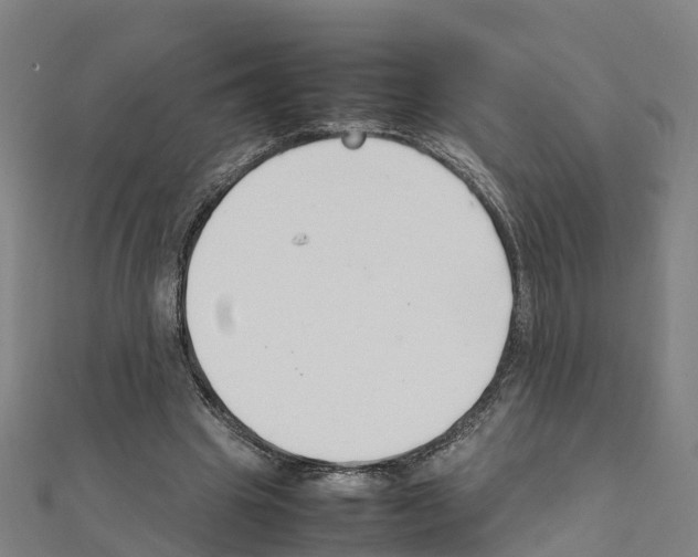 X0000111210441200908121135