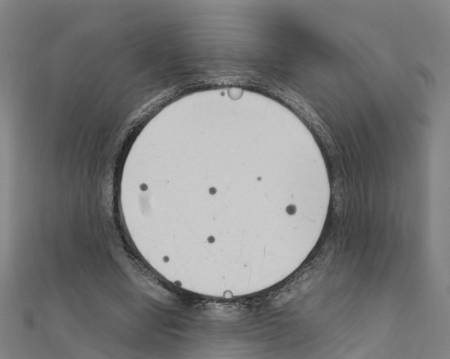 X0000111210442200908121136