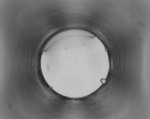 X0000111210444200908121136