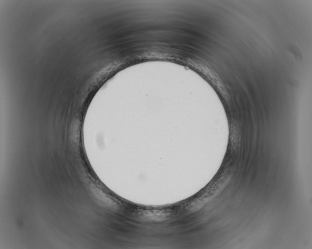 X0000111210445200908121136