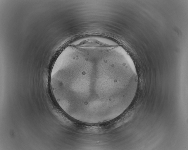 X0000111210446200908121136