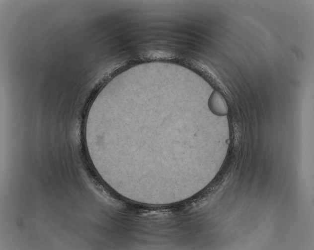 X0000111210447200908121136