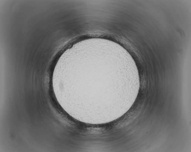 X0000111210448200908121136