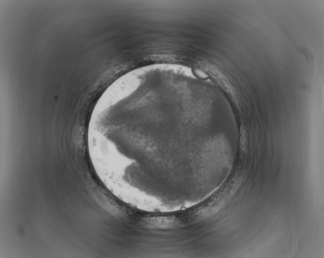 X0000111210449200908121136