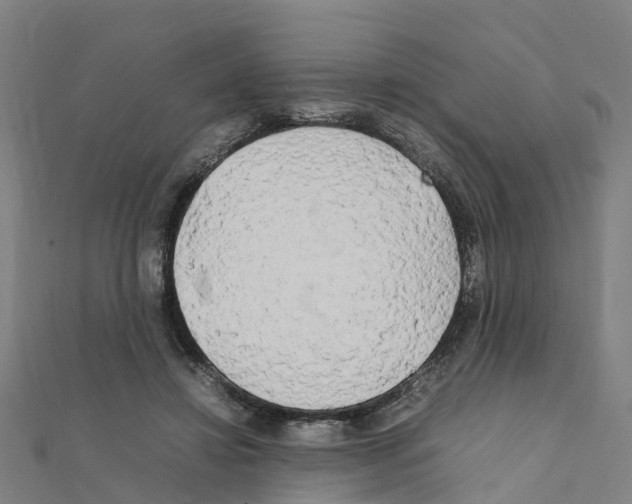 X0000111210452200908121136