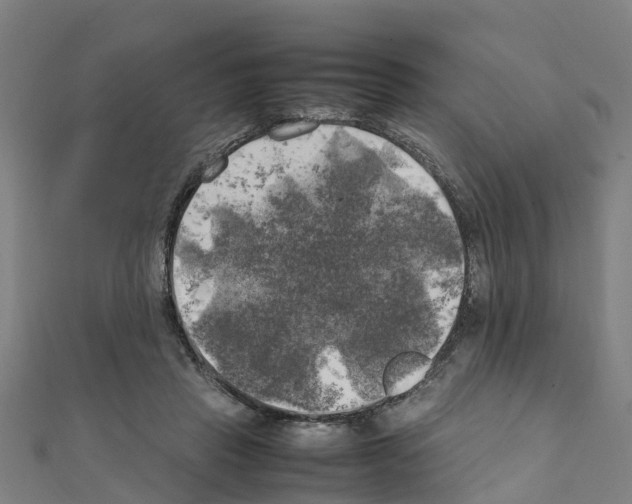 X0000111210453200908121136